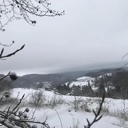 בית נופש Bergblick Willingen *