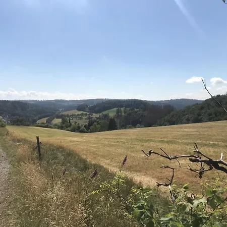 Bergblick Willingen *