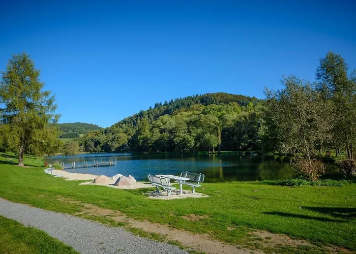 Bergblick Willingen Holiday home Neerdar