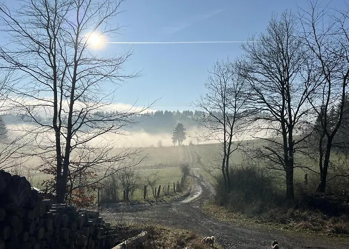 Holiday home Bergblick Willingen Neerdar